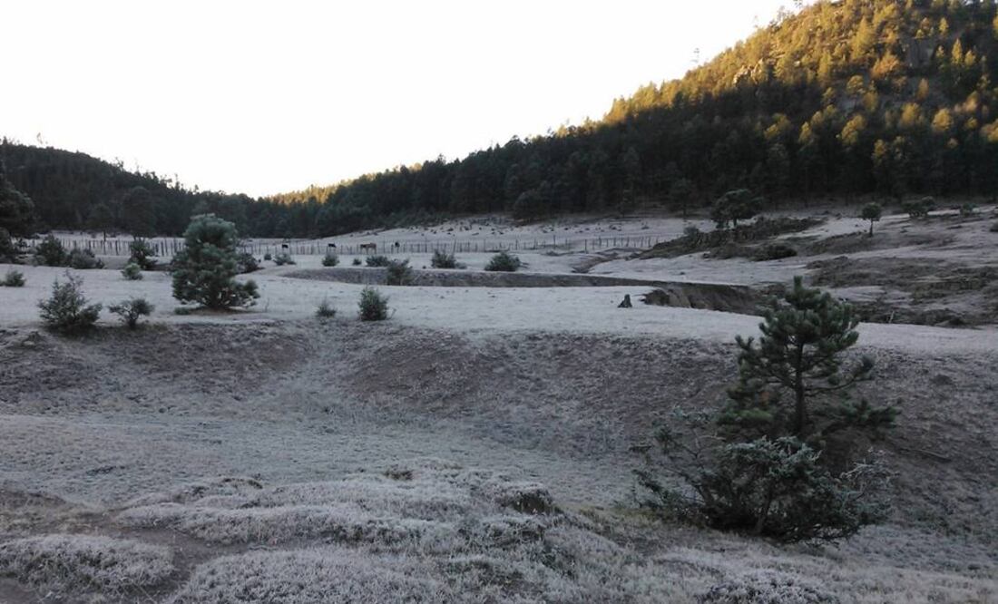 Foto: Archivo EL UNIVERSAL