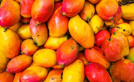 Cómo saber que los mangos están buenos