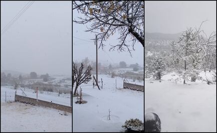 Nieve “pinta de blanco” 30 municipios de Chihuahua