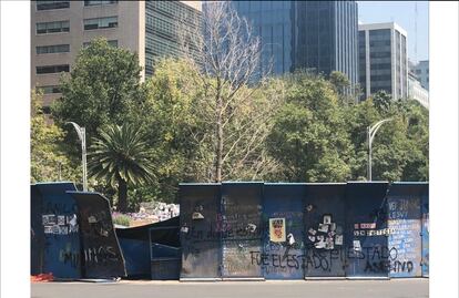 Así luce el ahuehuete de Reforma luego de que un BMW chocara contra vallas que lo protegen