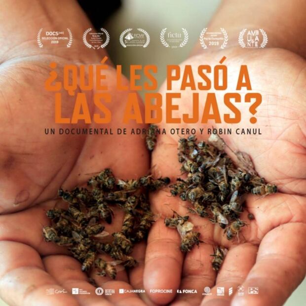 Documental alza premio en Cinema Planeta a 6 años de su estreno