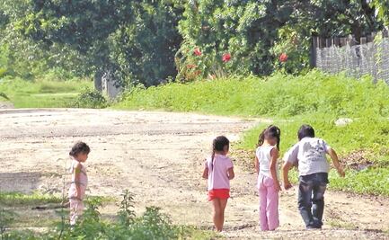Tren Maya causaría 19 ecocidios en el sureste mexicano