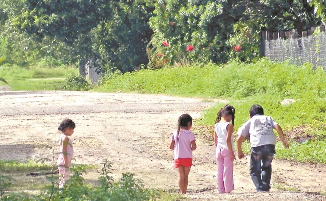 La zona arqueológica de Calakmul tiene en la actualidad 300 cuartos de hotel; para poder cumplir las expectativas turísticas del Tren Maya en esta reserva sería necesario multiplicar por más de 64 para llegar a superar los 19 mil cuartos. Fotos: ARCHIVO