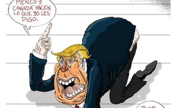 Cartón de FER