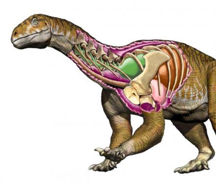 Descubren fósiles de dinosaurio gigante más antiguo