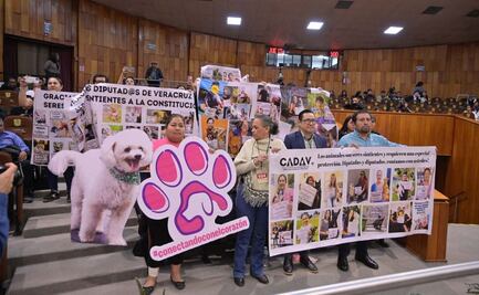 Congreso de Veracruz eleva a rango constitucional protección de animales