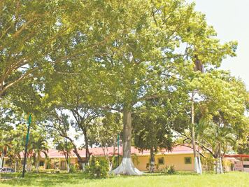 Un muerto y 18 positivos por Covid en un asilo de Tabasco