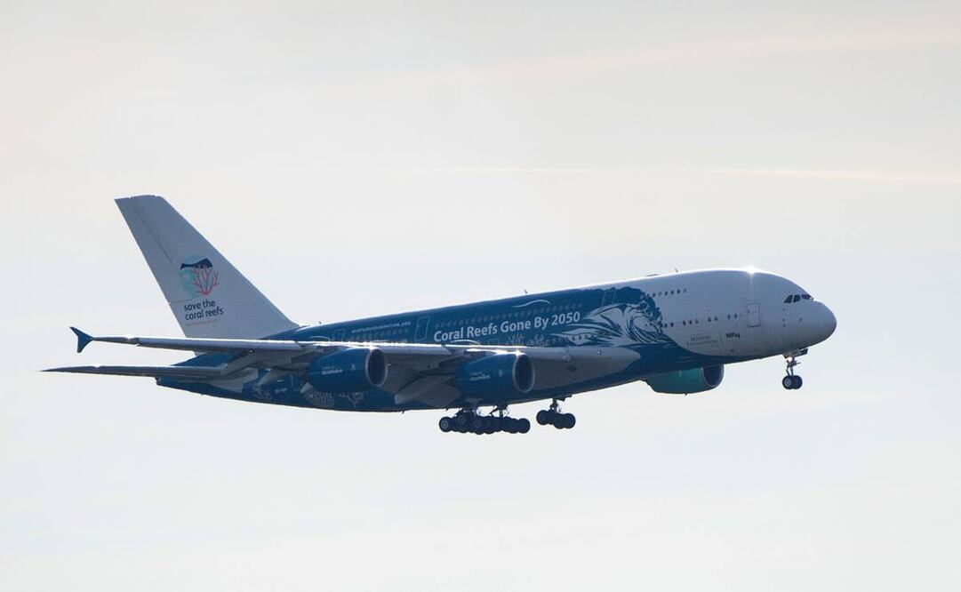 Cerca de la mitad de los repatriados hoy se quedarán en cuarentena en Francia (Foto: AFP)