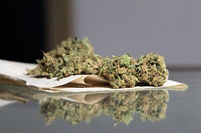 Las claves de la venta legal de marihuana recreativa en Uruguay