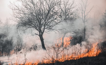 Incendios forestales en Hidalgo amenazan municipios de alto riego; afirman estar vinculados con tala ilegal
