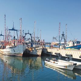 Marina se suma a combatir pesca ilegal 