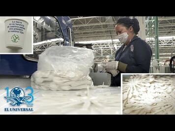 Empresa mexicana ofrece alternativa para la prohibición de plásticos