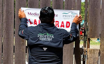 Por maltrato a osa "Mina", Profepa clausura zoológico "La Pastora" en NL; "está condiciones graves de deterioro físico"