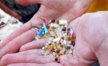 Los microplásticos ya han alcanzado a la "Isla Decepción", uno de los lugares más limpio del planeta