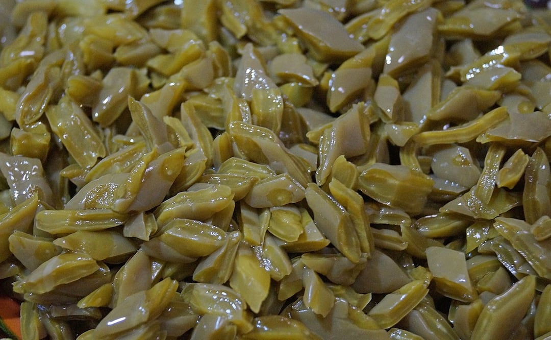 Beneficios de comer nopales en ayunas. Foto: UlisesEkzMoreno / Pixabay