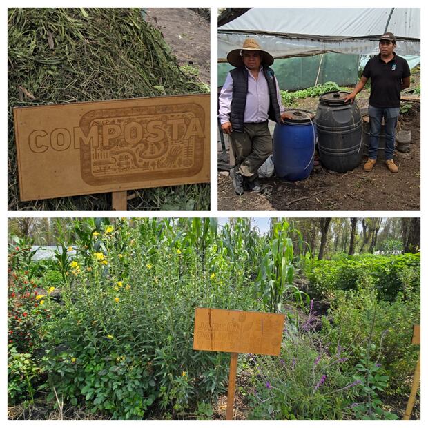Productores y chinamperos de Kalmekak elaboran bioinsumos artesanales y compostas que devuelven la flora bacteriana al suelo sin necesidad de fertilizantes sintéticos. Fotos: Marisol Toriz / EL UNIVERSAL.