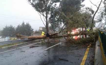 Caída de árboles provocó cierre de la México-Cuernavaca por dos horas