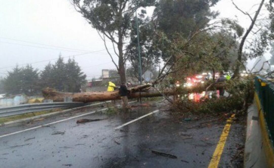 Foto: @Quadratin_Mor 