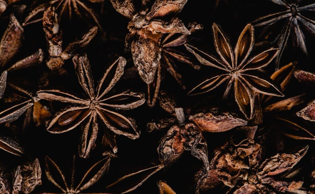 Foto: Eva Bronzini / Pexels