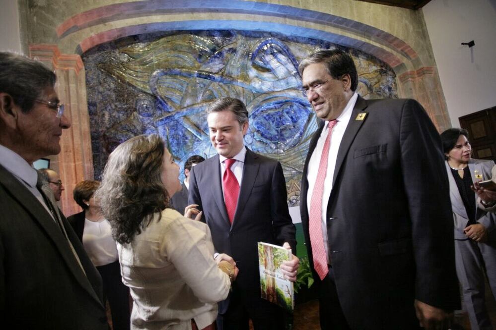 Foto: Iván Stephens / EL UNIVERSAL