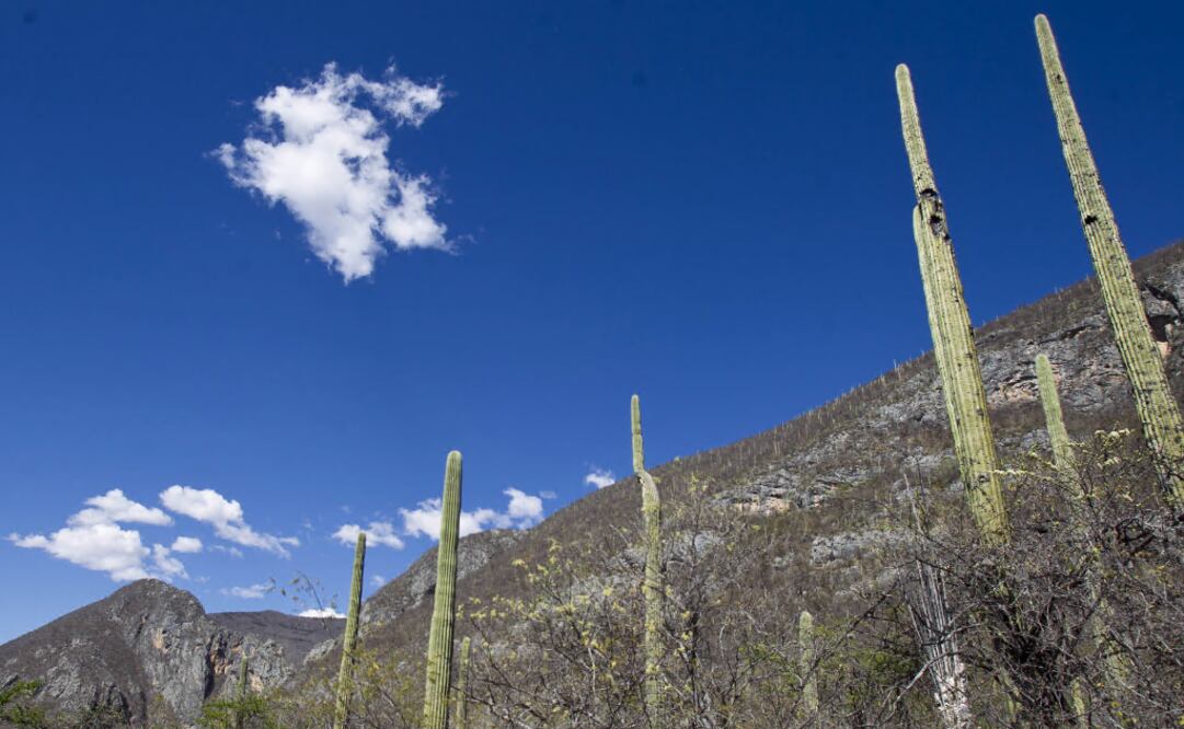 The Budget cut became official on April 23 - Photo: Mario Arturo Mertínez/EL UNIVERSAL