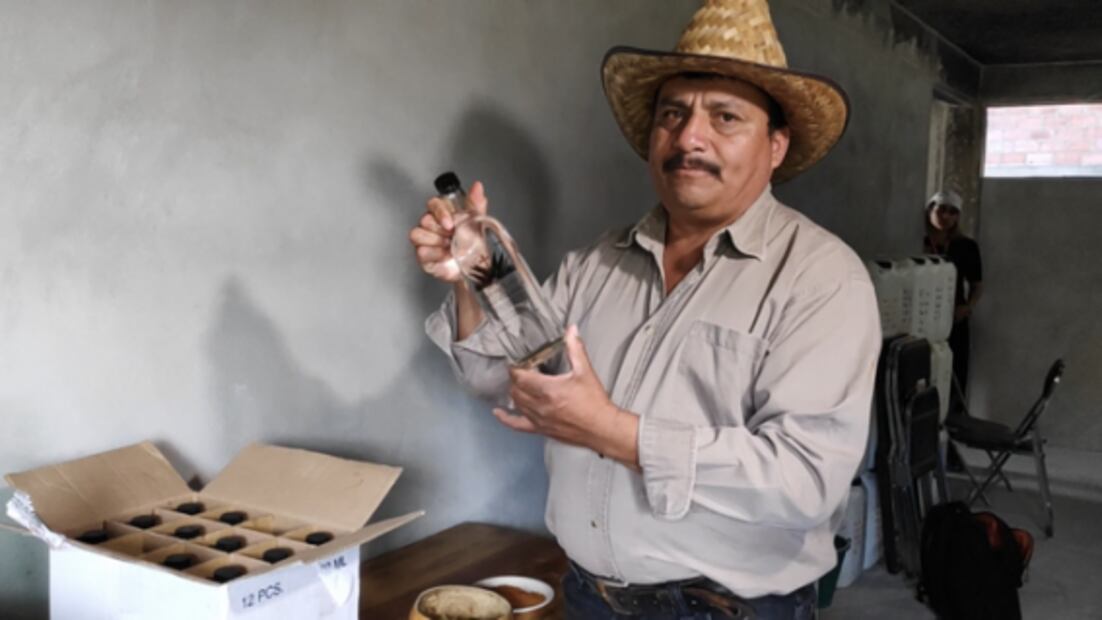 Ante falta de clientes, reinventan forma de hacer pulque en Ixtapaluca, Edomex