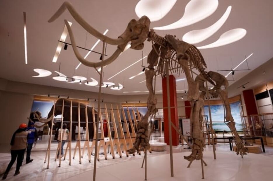 Así será el Museo del Mamut en el Aeropuerto Internacional Felipe Ángeles