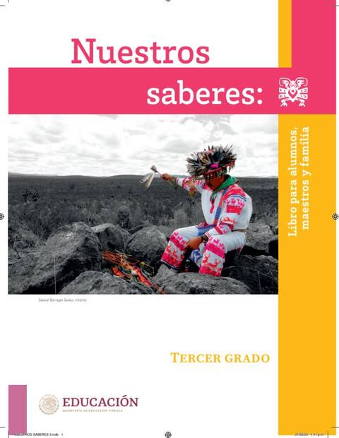 Nuestros saberes para tercer año de Primaria / Captura de pantalla