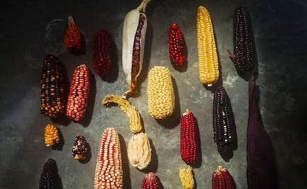 Conoce Xadithä el nuevo proyecto del chef Cesar Castañeda