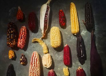 Conoce Xadithä el nuevo proyecto del chef Cesar Castañeda