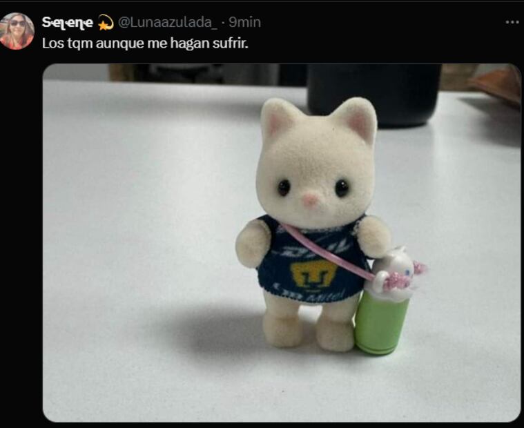 Los memes que dejó el triunfo de América ante Juárez