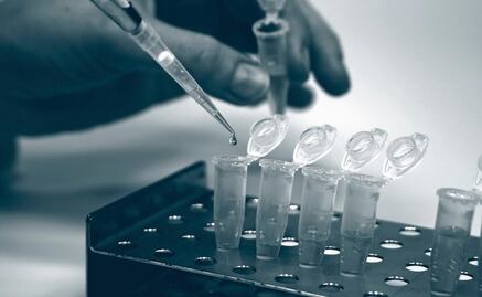 Describen nueva maquinaria de reparación de errores en el ADN