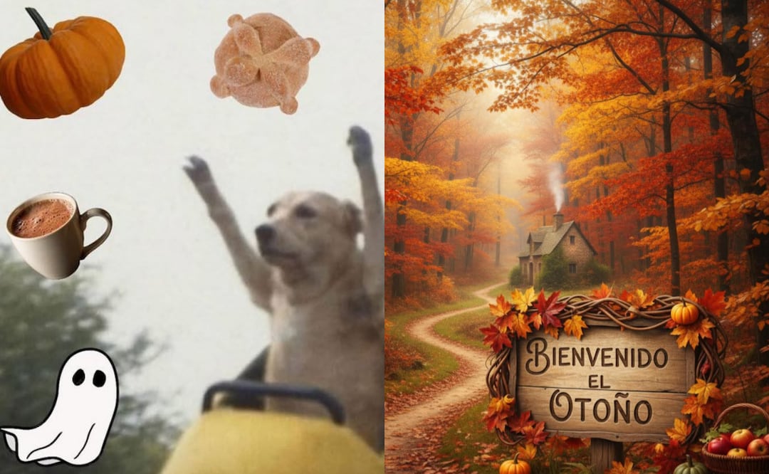 Los mejores memes por el equinoccio de otoño y la llegada de esta estación. Foto: X