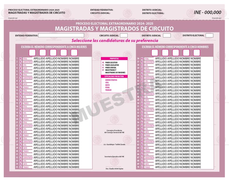 De colores y distintos tamaños, Comisión del INE aprueba boletas para elección judicial; falta voto del Consejo General