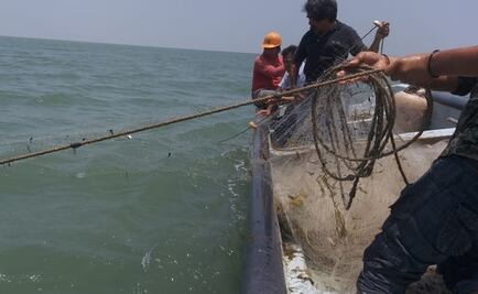 Buscan a cuatro pescadores desaparecidos desde el jueves en Altata, Navolato