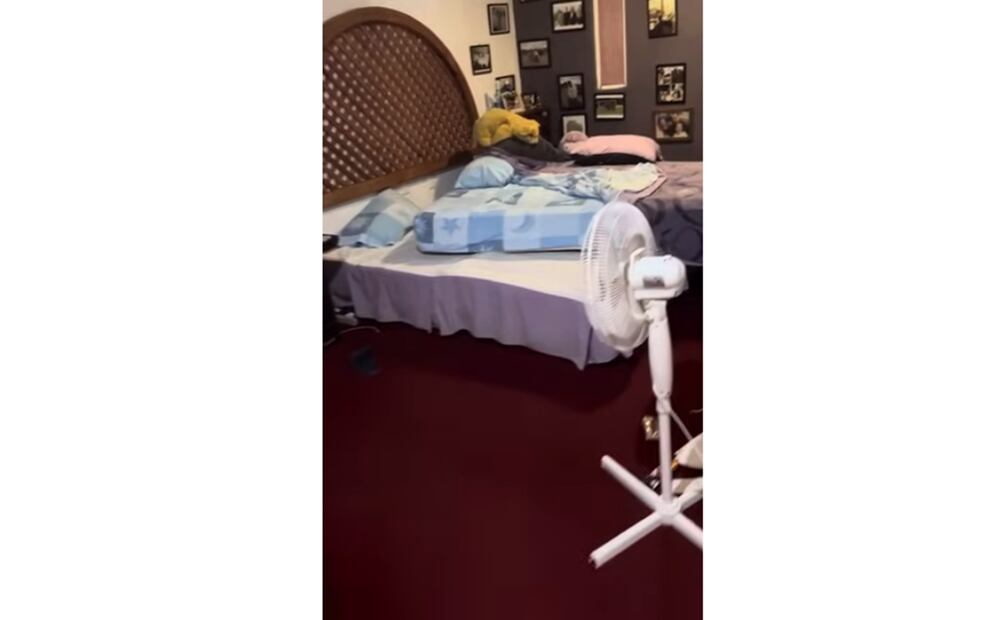 Foto: Captura de pantalla
