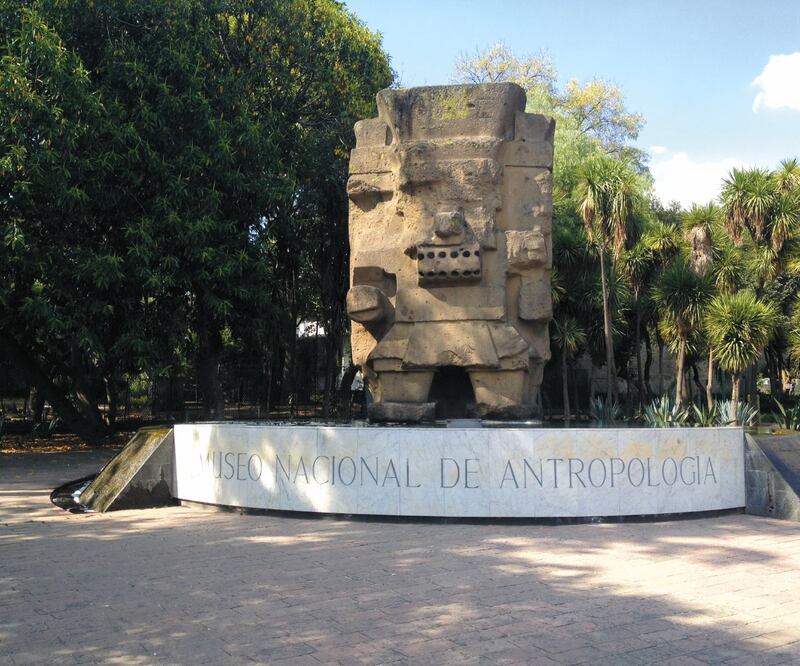 Con tres millones de espectadores, Antropología es uno de los museos más visitados del país.