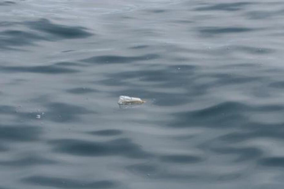 Desde el espacio luchan contra la contaminación por plásticos en el mar