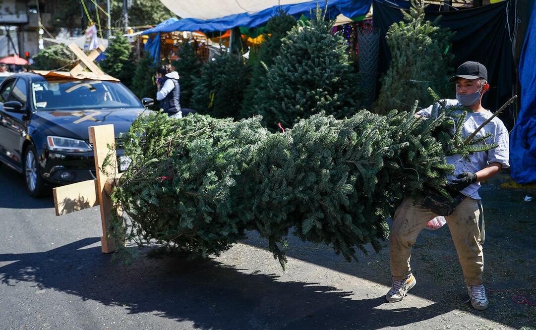 Además de adquirir un árbol de Navidad, algunas personas acuden al mercado Jamaica para comprar otros artículos de la temporada. Fotos: Diego Simón. EL UNIVERSAL