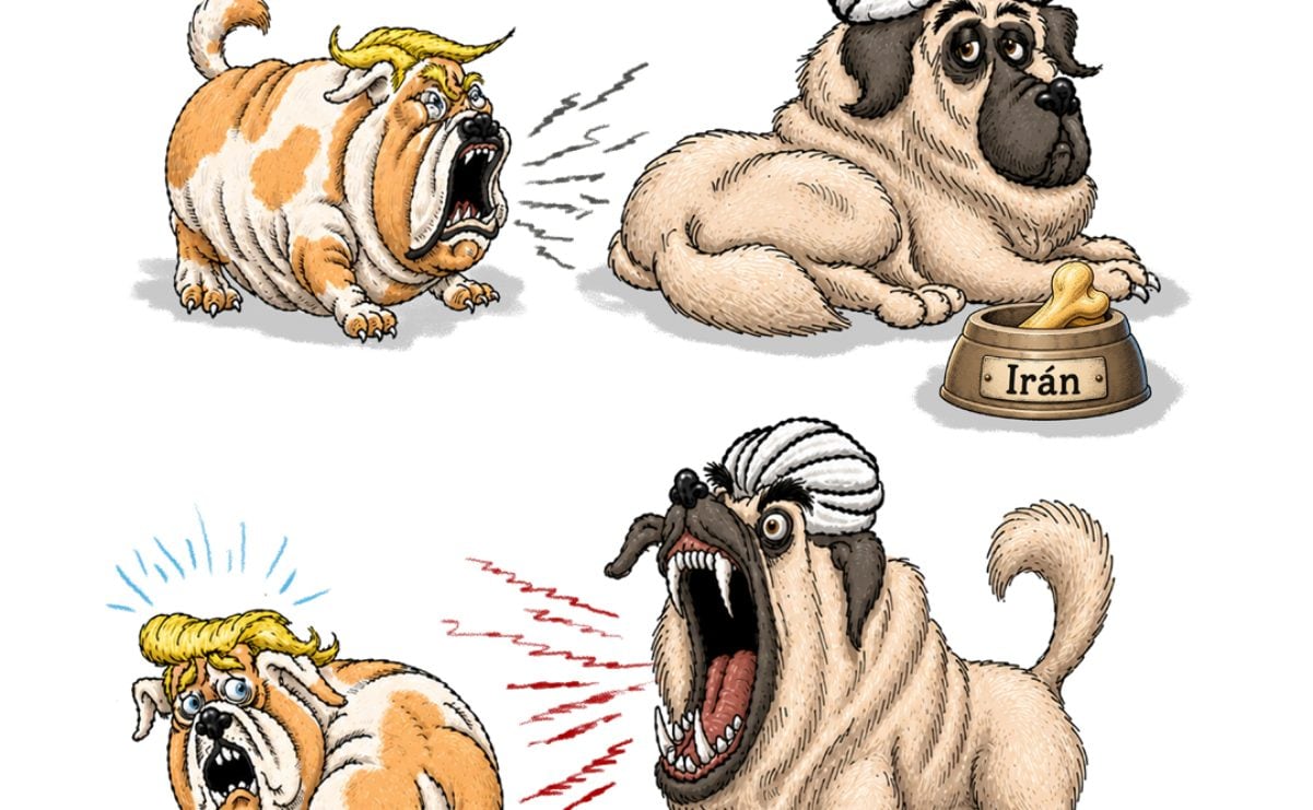 Dolores perros