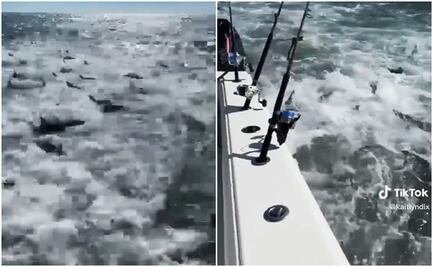 Decenas de tiburones hambrientos rodean a pescadores y todo queda en video