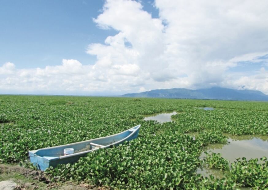 Presas de México en problemas: o llenas de agua o están vacías