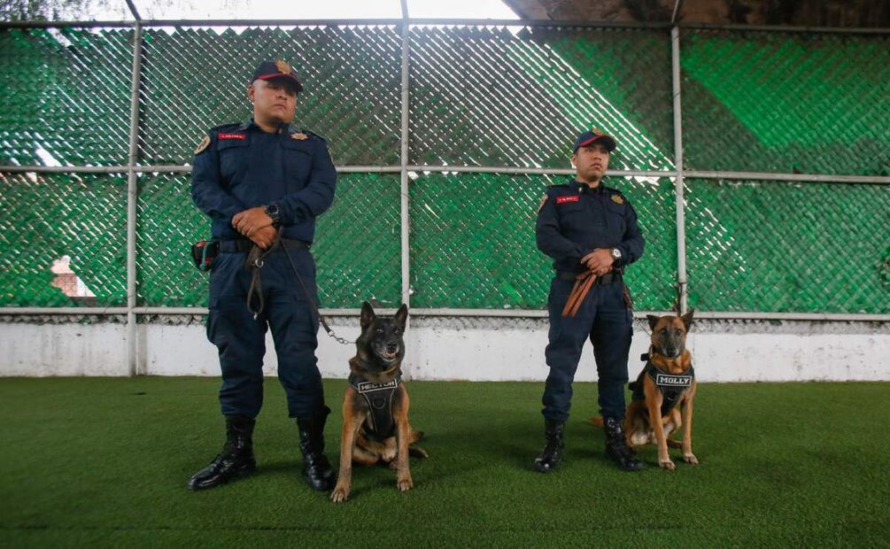 Despiden con honores a Molly y Héctor, dos perritos policías en la CDMX (23/07/2025). Foto: Darío Luna / EL UNIVERSAL