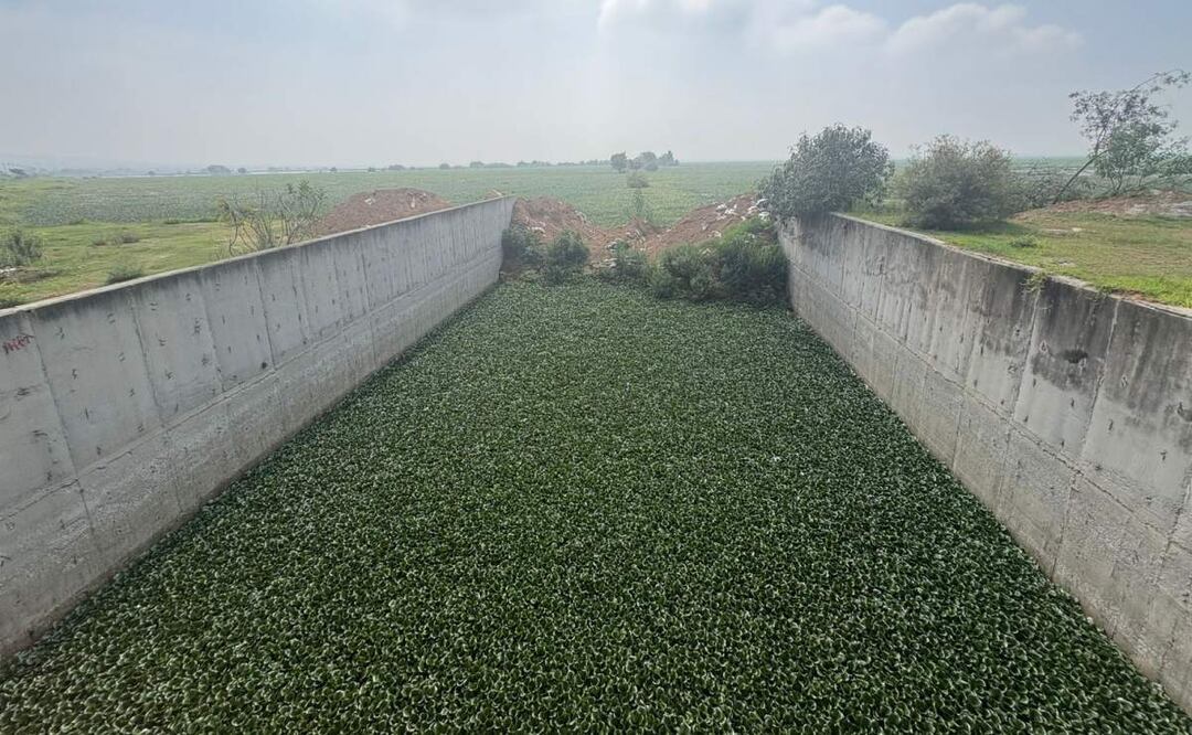 Retiran tapón de compuerta de acceso a la Laguna de Zumpango en el Edomex
(05/07/2025). Foto: Arturo Contreras / EL UNIVERSAL
