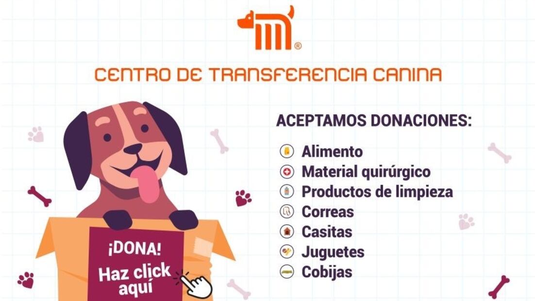 El Centro de Trasferencia Canina busca promover la adopción entre los infractores. Foto: Centro de Transferencia Canina CDMX