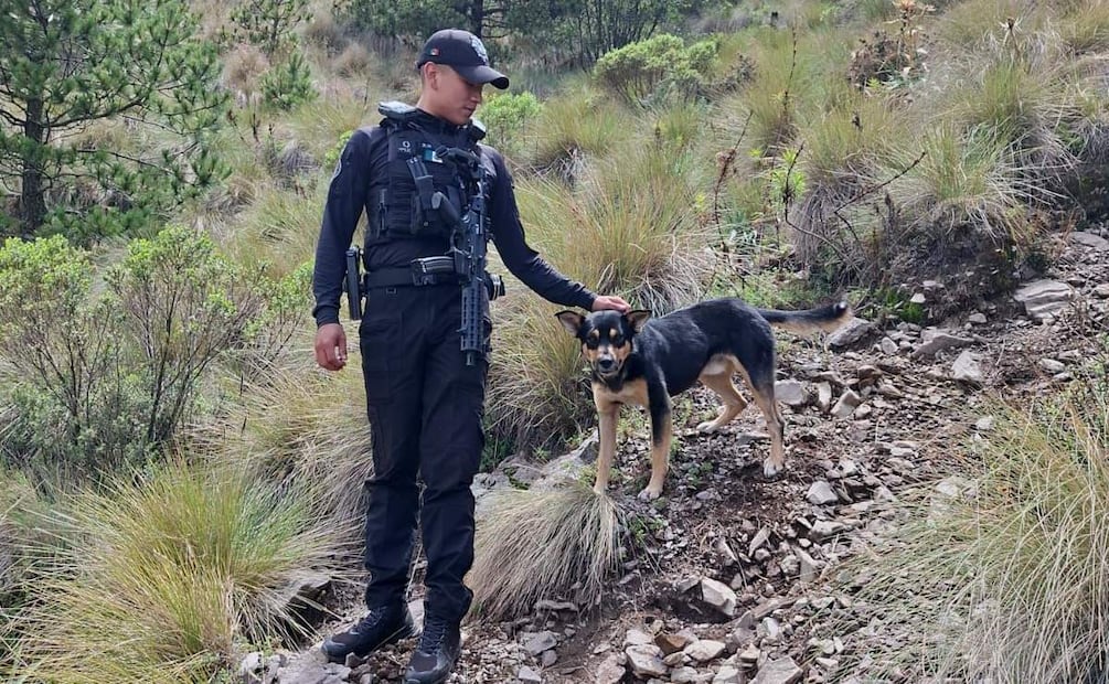 Familia de Ana Ameli exige acelerar y ampliar su búsqueda en zonas de la CDMX (22/07/2025). Foto: Especial