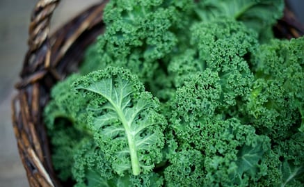 Kale: ¿una súper verdura?