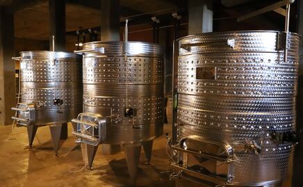 Viticultura por el Valle de la Independencia 