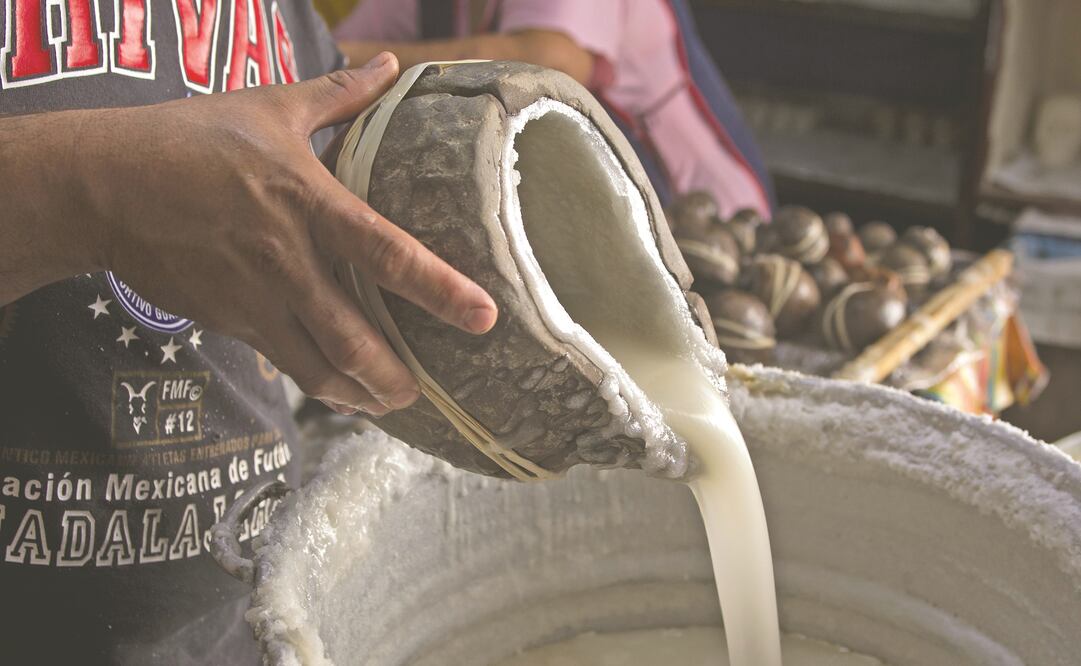 FOTOS: CARLOS ZEPEDA. EL UNIVERSAL