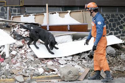 Construcciones tienen fallas, dicen japoneses